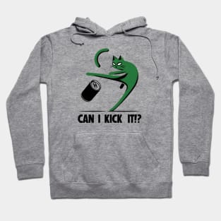 can i kick it - cats Hoodie